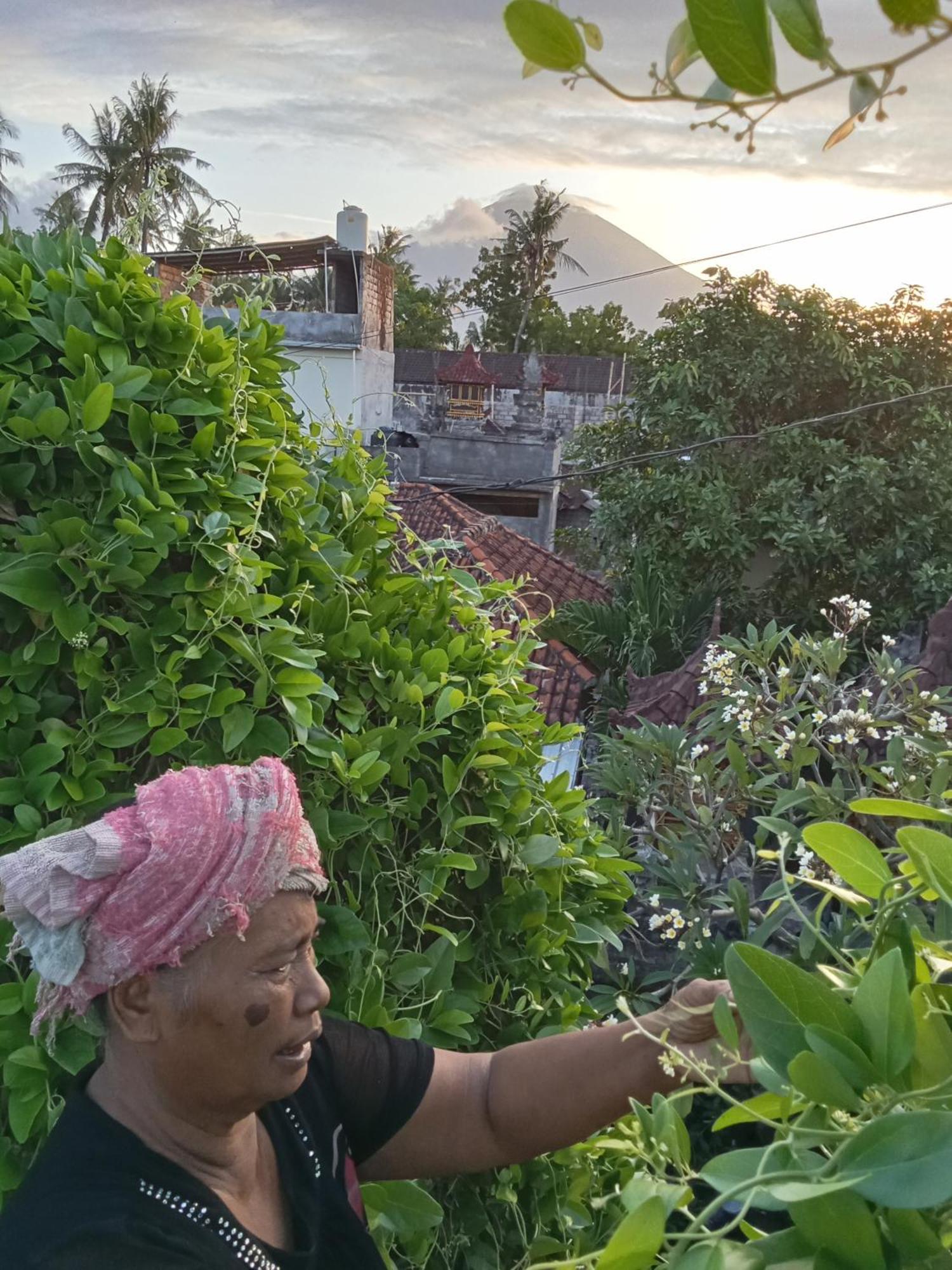 Komang Homestay آميدْ المظهر الخارجي الصورة